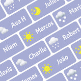 StacynKirill Personalized Name Labels for Kids Custom Stcikers Washable for Clothes and Gear Non Iron Waterproof for Kids Stuff Daycare Toddlers School Supplies Water Bottle Camp 0.5"X1.2" (Weather)Stacy & Kirill